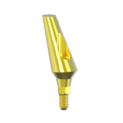 CORTEX 25° AÇILI ANATOMIC ABUTMENT NP