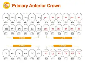 KİDS CROWN PASLANMAZ ÇELİK KRON SET ANTERİOR 36 LI