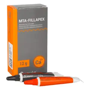 ANGELUS MTA FİLLAPEX SMALL TUBE 12 GR