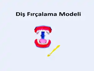 İDA DİŞ FIRÇALAMA MODELİ