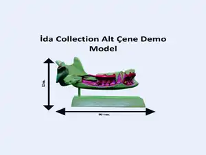 İDA COLLECTION ALT ÇENE FANTOM DEMO MODEL