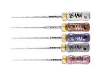 DENTSPLY WDW C+ FILE 6LI BLISTER